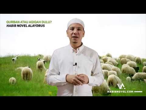 Qurban Atau Aqiqah (akikah) Dulu? Habib Novel Alaydrus